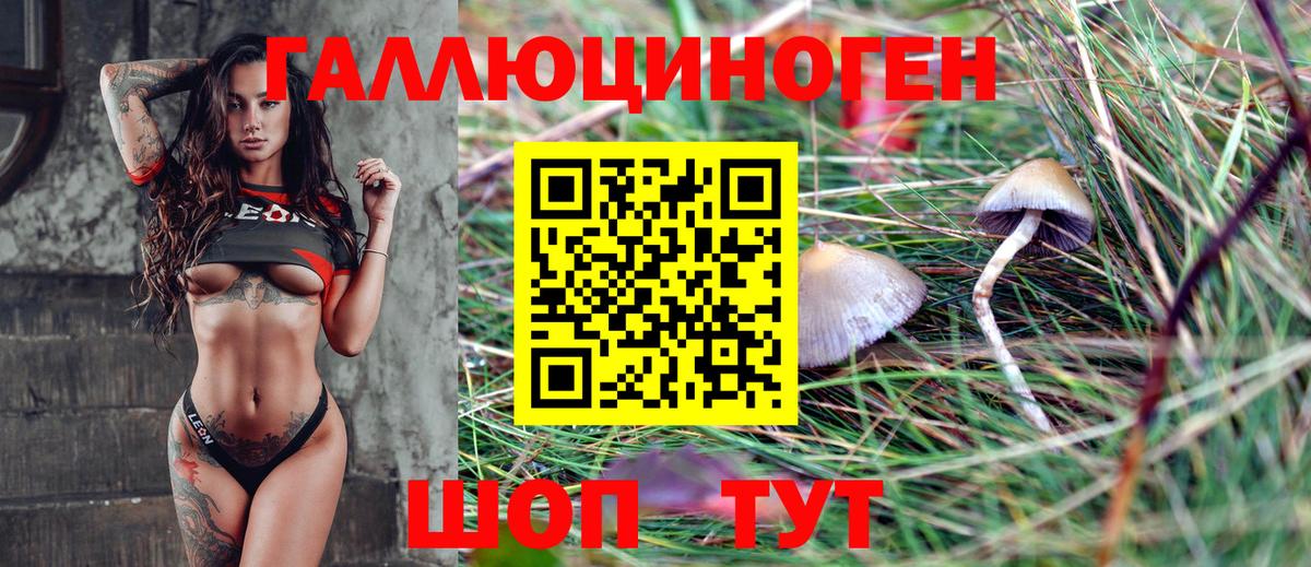 Псилоцибиновые грибы Psilocybe  Псилоцибиновые грибы ЛСД  Вичуга  Вход с VPN 