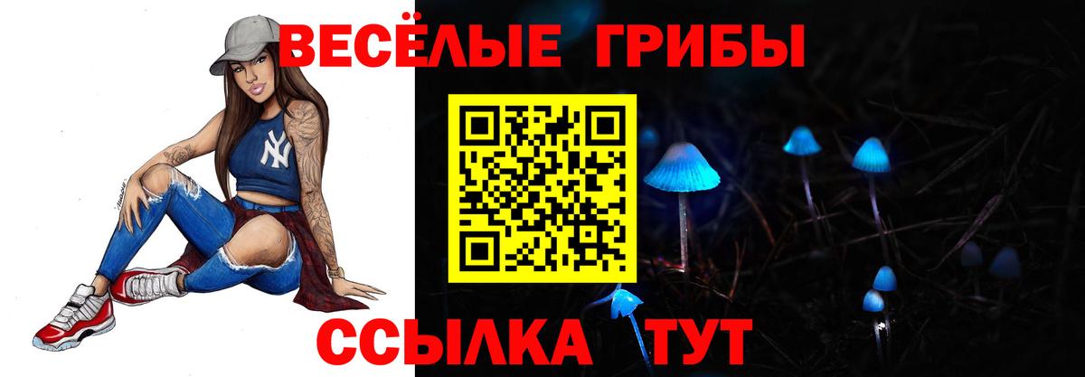 Псилоцибиновые грибы Psilocybine cubensis Вичуга